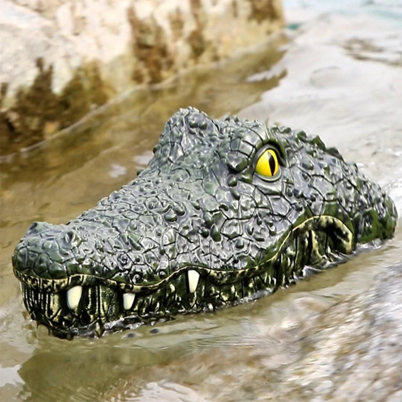 RC Gator